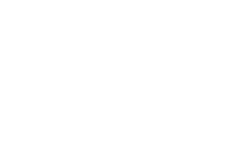 xapi.com.au logo